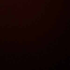 Meet your Posher, Bonnie